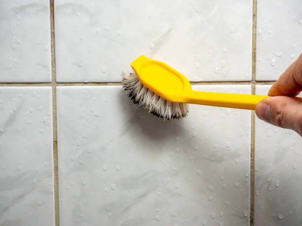 Professional Mold Removal in Ridgely, TN