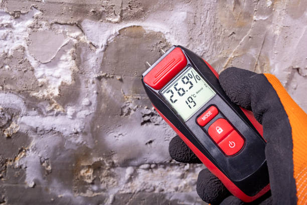 Home Mold Removal in Ridgely, TN