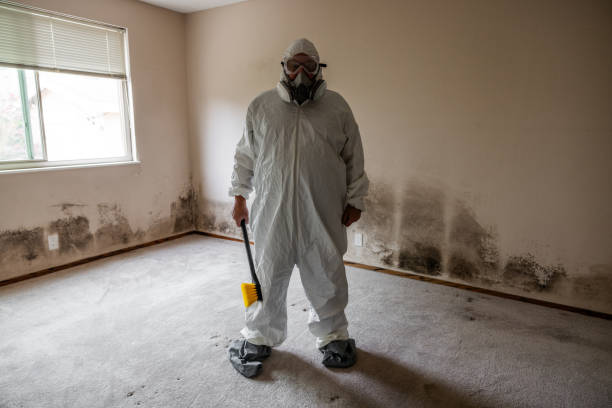 Best Residential Mold Removal  in Ridgely, TN